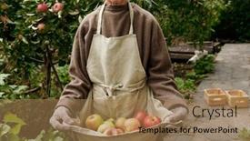  Presentation with aged - Slides with part-of-aged-woman background and a coral colored foreground