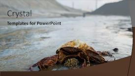  Presentation with polluted - Presentation theme consisting of part-of-dirty-road background and a light gray colored foreground