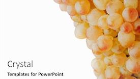  Presentation with grape vine - Presentation theme featuring part of grape vine isolated on white background and a white colored foreground