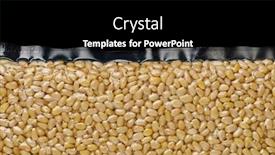  Presentation with pine - Amazing slides having part-of-pine-nuts-packed backdrop and a black colored foreground