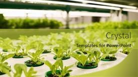  Presentation with vertical - Slides enhanced with part-of-vertical-trusses background and a yellow colored foreground