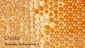  Presentation with wax - PPT theme with part-of-wax-honeycomb background and a yellow colored foreground