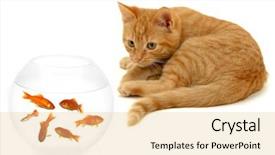  Presentation with hello kitty cute little kitten - Audience pleasing PPT layouts consisting of child wearing huge yellow clown backdrop and a gold colored foreground