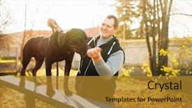  Presentation with dog training class - Presentation consisting of partner miliatry - cynologist training sniffing dog background and a gold colored foreground