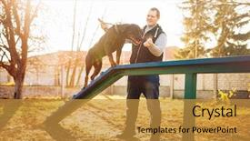  Presentation with playground - Colorful presentation enhanced with partner miliatry - cynologist training sniffing dog backdrop and a gold colored foreground