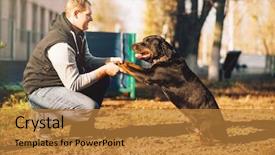  Presentation with police dog - PPT theme consisting of partner miliatry - male cynologist police dog training background and a gold colored foreground