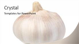  Presentation with garlic - Audience pleasing PPT theme consisting of parts whole - garlic isolated on white background backdrop and a white colored foreground