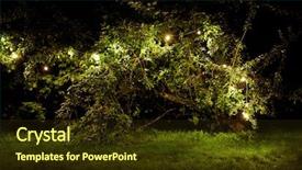  Presentation with party lights - Presentation theme consisting of party concept - tree with garland background and a  colored foreground