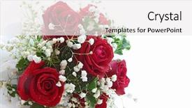  Presentation with wedding white - Slides with party valentines - rose bouquet isolated on white background and a white colored foreground