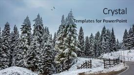  Presentation with birds flying - Beautiful PPT theme featuring pass giau snow fell bird backdrop and a light blue colored foreground