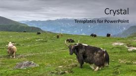  Presentation with himachal pradesh - Presentation design having pass in himachal pradesh state background and a light gray colored foreground