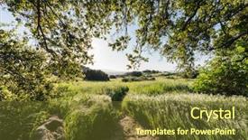  Presentation with los angeles - Slide set with pass state historic park oak background and a tawny brown colored foreground