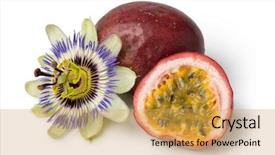  Presentation with passiflora edulis - PPT layouts with passiflora edulis fruit and flower background and a yellow colored foreground