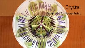  Presentation with passion fruit - Cool new slides with passion fruit flower or passiflora backdrop and a  colored foreground