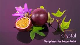  Presentation with passiflora edulis - PPT layouts consisting of passion-fruit-maracuya-with-leaf background and a tawny brown colored foreground