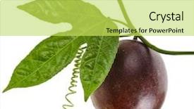  Presentation with fruit trees - Colorful theme enhanced with passion fruit on a white backdrop and a yellow colored foreground