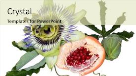  Presentation with passion fruit - Theme with passion fruit passiflora flavicarpa flower background and a soft green colored foreground