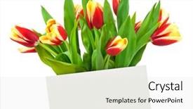  Presentation with card holiday flowers abstract - Colorful presentation theme enhanced with passion statement - card and flowers isolated backdrop and a  colored foreground