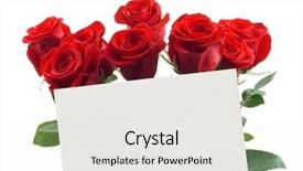  Presentation with pink and white roses - Amazing theme having passion statement - card and roses isolated backdrop and a white colored foreground