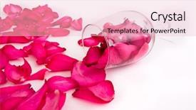  Presentation with passion - Slides featuring passion statement - rose in the wine glass background and a  colored foreground
