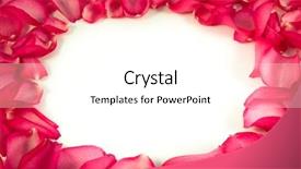  Presentation with white rose - PPT layouts consisting of passion statement - rose petals on white background background and a white colored foreground