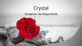  Presentation with melancholy - Presentation with past etc color against black background and a white colored foreground