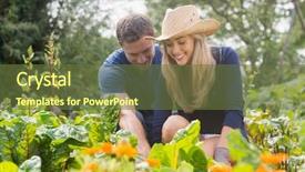  Presentation with home gardening - Slides consisting of past simple - cute couple gardening on sunny background and a tawny brown colored foreground