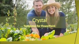  Presentation with home gardening - Amazing slides having past simple - cute couple gardening on sunny backdrop and a tawny brown colored foreground