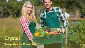  Presentation with vegetables - Colorful slide set enhanced with past simple - happy couple showing vegetables backdrop and a tawny brown colored foreground