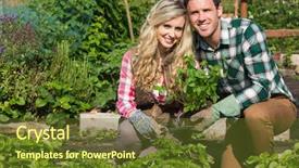  Presentation with young plant - Amazing presentation having christmas greeting card with gnome backdrop and a navy blue colored foreground