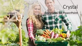  Presentation with simple green - Beautiful PPT theme featuring past simple - young couple standing in their backdrop and a soft green colored foreground