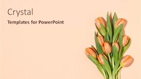  Presentation with orange colored - PPT layouts featuring pastel-colored-composition-of-orange background and a white colored foreground