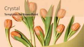  Presentation with orange colored - Presentation theme with pastel-colored-composition-of-orange background and a lemonade colored foreground