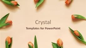  Presentation with orange colored - Presentation design featuring pastel-colored-composition-of-orange background and a lemonade colored foreground