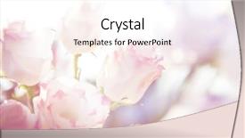  Presentation with flower border colorful made - Beautiful presentation featuring pastel colors - beautiful flowers made with color backdrop and a pink colored foreground