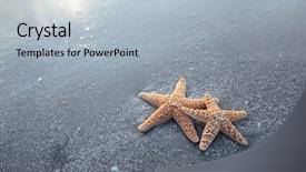  Presentation with pearls and starfish - Slide deck featuring pastel wave - pair of starfish background and a light blue colored foreground