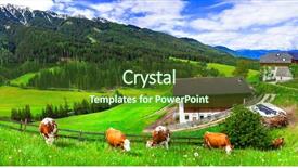  Presentation with green mountains - Audience pleasing PPT layouts consisting of pasture alpine scenery dolomites mountains backdrop and a tawny brown colored foreground