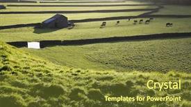  Presentation with pasture - Audience pleasing presentation theme consisting of close-up of person s hand using mobile phone to capture city buildings backdrop and a gray colored foreground.