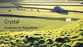  Presentation with study abroad england - Slide deck consisting of pasture in yorkshire dales yorkshire background and a yellow colored foreground