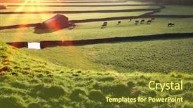  Presentation with study abroad england - PPT layouts consisting of pasture in yorkshire dales yorkshire background and a tawny brown colored foreground