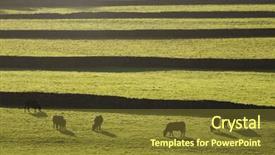  Presentation with pasture - Beautiful slides featuring pasture in yorkshire dales backdrop and a  colored foreground