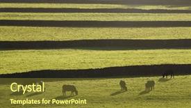  Presentation with pasture - Amazing PPT theme having pasture in yorkshire dales backdrop and a  colored foreground
