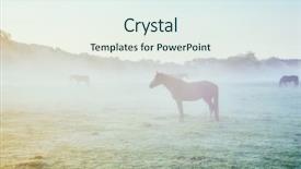  Presentation with pasture - Beautiful PPT theme featuring pasture with arabian horses backdrop and a sky blue colored foreground