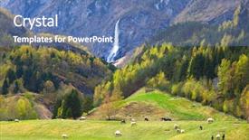  Presentation with beautiful sheet of cannabis marijuana - Slide deck featuring pasture with sheep and beautiful background and a teal colored foreground