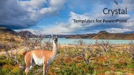  Presentation with chile patagonia - Audience pleasing slide deck consisting of patagonia torres del paine biosphere backdrop and a light blue colored foreground