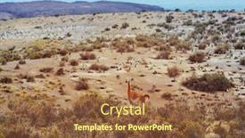  Presentation with atlantic - Presentation enhanced with patagonian-atlantic-coast-in-argentina background and a tawny brown colored foreground