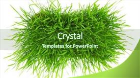  Presentation with art white gray grey - Colorful presentation enhanced with view on a white coconut backdrop and a dark gray colored foreground