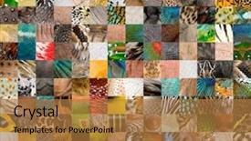  Presentation with animal collage - Slides featuring patchwork of 196 animals background and a coral colored foreground