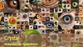  Presentation with animal collage - Audience pleasing PPT theme consisting of patchwork of animals and human backdrop and a tawny brown colored foreground