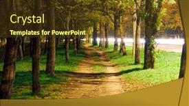 Presentation with street lighting - Theme enhanced with path-between-trees-at-night background and a tawny brown colored foreground